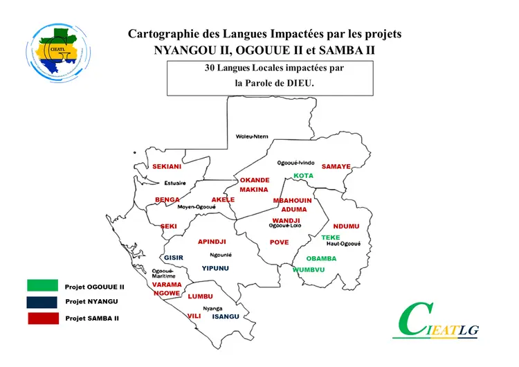 cartographie linguistique des projets